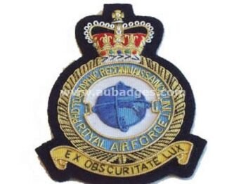 Squadron Blazer Badges