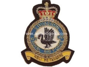 Squadron Blazer Badges