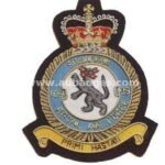 109-Sqdn-RAF-blazer-badge.jpg