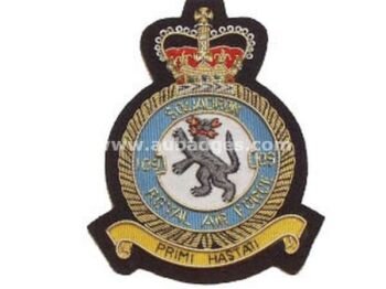 Squadron Blazer Badges