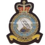 Squadron Blazer Badges