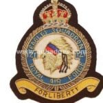 Squadron Blazer Badges