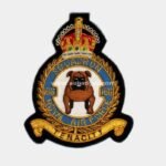 166-Bomber-Command-Squadron-Blazer-badge-E28093-Royal-Canadian-Air-Force-RCAF.jpg