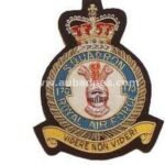 170-Sqdn-RAF-blazer-badge.jpg