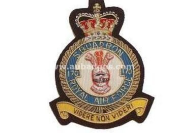 Squadron Blazer Badges
