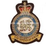 223-RAF-Sqdn-blazer-badge.jpg