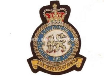 Squadron Blazer Badges