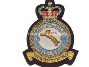Squadron Blazer Badges