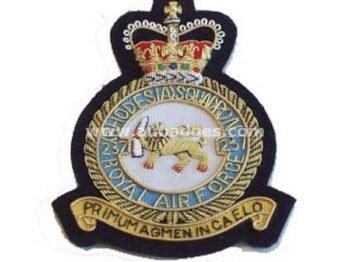 Squadron Blazer Badges