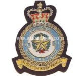31-Sqdn-RAF-blazer-badge.jpg