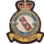 Squadron Blazer Badges