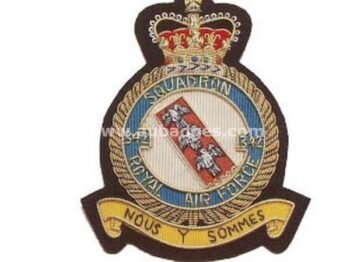 Squadron Blazer Badges