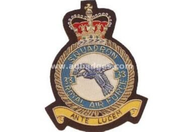 Squadron Blazer Badges