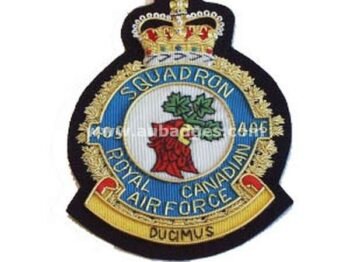 Squadron Blazer Badges