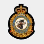 423-Squadron-Blazer-Badge-E28093-Eagle-Canadian-Patches-RCAF.jpg