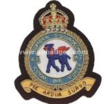 45-Sqdn-KC-blazer-badge.jpg