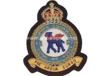 Squadron Blazer Badges