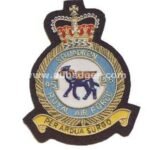 45-Sqdn-RAF-blazer-badge.jpg