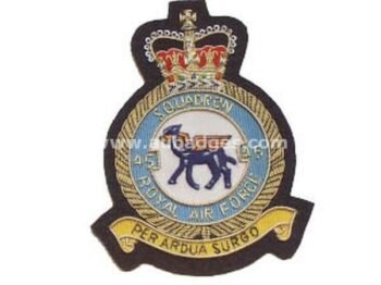 Squadron Blazer Badges
