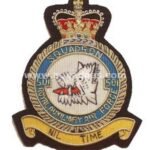 501-Sqdn-RAF-Aux-blazer-badge.jpg