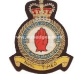 Squadron Blazer Badges