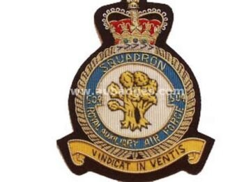 Squadron Blazer Badges