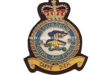 Squadron Blazer Badges