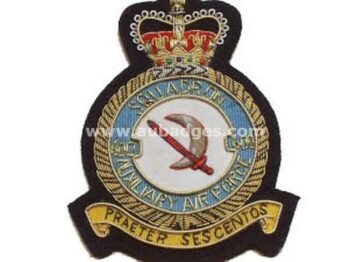 Squadron Blazer Badges
