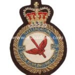 601-Sqdn-RAF-Aux-blazer-badge.jpg