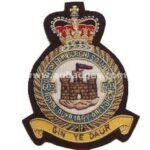 603-Sqdn-RAF-Aux-wire-blazer-badge.jpg