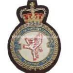 607-Sqn-RAF-Aux-wire-blazer-badge.jpg