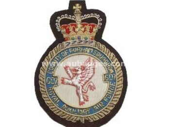 Squadron Blazer Badges