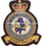 608-Sqdn-RAF-Aux-wire-blazer-badge.jpg