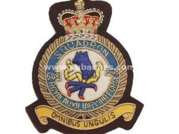 Squadron Blazer Badges