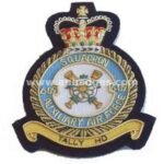 Squadron Blazer Badges