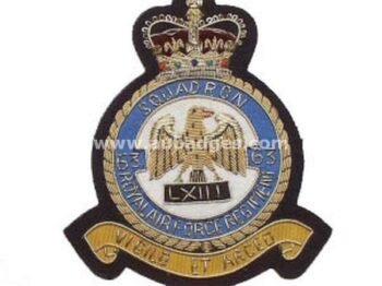 Squadron Blazer Badges
