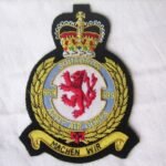 669-Squadron-Army-Air-Corps-Blazer-Badge.jpg