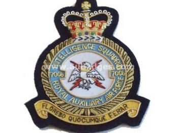 Squadron Blazer Badges