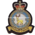 Squadron Blazer Badges