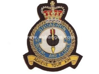 Squadron Blazer Badges