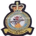 Squadron Blazer Badges