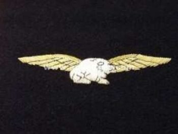 Bullion Wire Blazer Wings