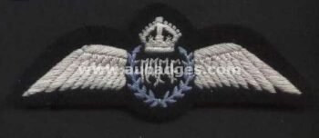 Bullion Wire Blazer Wings