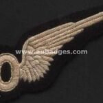 Blazer-Wings-29.jpg