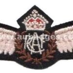 Bullion Wire Blazer Wings