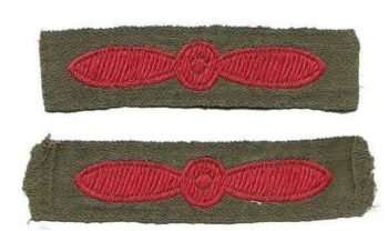 Bullion Wire Blazer Wings