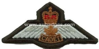 Bullion Wire Blazer Wings