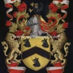 Coats-of-Arms-family-crest-65.jpg