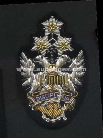 Bullion Wire Cap Badges