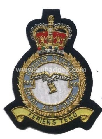 Squadron Blazer Badges